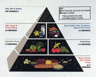 1992 US Food Pyramid