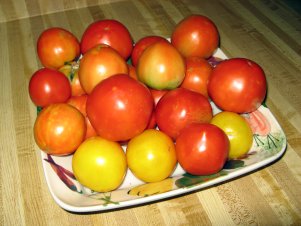 tomatoes